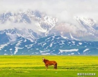 饮马，寒渡鸣鞭当下