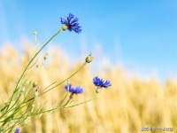 什么是人生？看看这些哲理句子，让你早日醒悟！