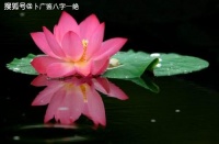 什么样的八字格局高？这三种情况是上等格局