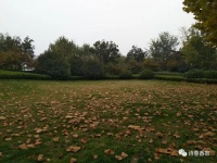 香泉先生：路途是一首不用注脚的诗｜中原作家