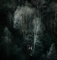 散文：浅冬，一幅淡淡的水墨画