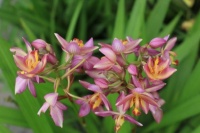 人生是一场没有尽头的修行