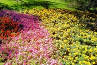 半亩方塘一鉴开，天光云影共徘徊——读书要趁早，生活悟性高