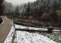 丹凤张杰‖初雪感悟