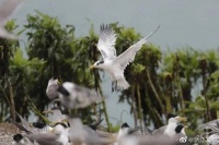 浙江象山荣获全国野生动植物“先锋卫士”称号