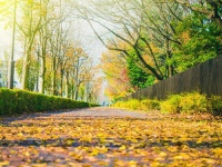 上游•夜雨丨心灵的颤音 ——聆听重庆市脱贫攻坚先进事迹报告会 - 谢子清