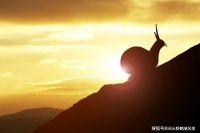 容易走的路都是下坡路，坚持住，因为你正在走上坡路