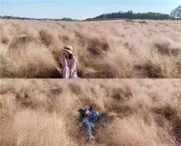 你真正忙起来，一切就不药而愈了