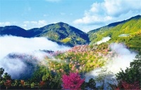 情节慢热但文字功底沉稳成熟,令人深思