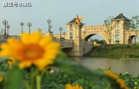 我们相约在秋季