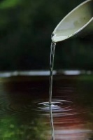 诗会欣赏：品酒有怀（作者 徐寿镜）