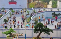 花都赤坭镇盆景艺术节开幕，树龄300年罗汉松拍出680万元