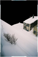 除了轻柔的雪，没有别的声音