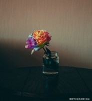 生命最重要的意义，是活着