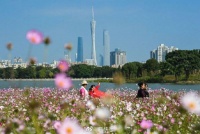 冷空气总算来了 广州降温仅3℃~5℃