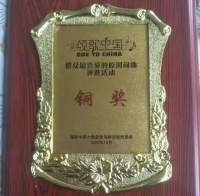 点赞！南充女作家创作《回家》，斩获全国铜奖