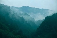 《周易》：从“占筮之书”到“五经之首”