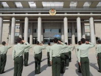 组织部有一棵银杏树