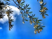 太在意别人的眼光，是一场灾难