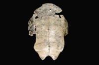 殷墟遗址博物馆开建