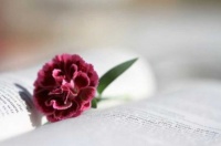 觅得真爱，需要的不只是愈挫愈勇～