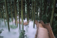 森林康养迎“年轻潮”：半山七里坪让康养有趣有料更青春