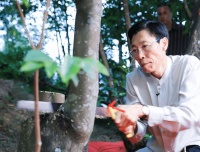 非遗传承人古法采头香，“东莞香典”展现千年莞香文化魅力