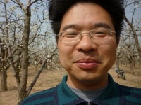 驻马店文学：那些写小说的鸟们｜中原作家群