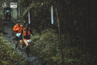 收集山林垃圾，宣传动物保护，中国越野跑赛事绿色重启