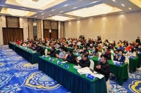 全国知名网络作家创作研讨班在南京举行