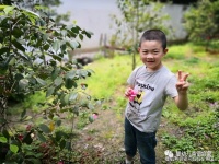 英语启蒙是一项长期工程，没有一蹴而就的事！