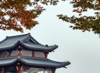 从深耕到生根，创造尺度人生