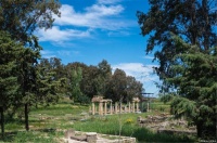 必读的科学趣闻：阿苔密斯神庙的“诞生”与“毁灭”