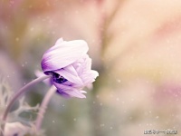 一些关于人生，很有哲理的句子，来看看吧！