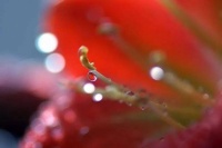 伴读 | 人最珍贵的，是善良