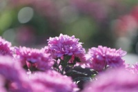 赏读 | 懂，是世间最温情的语言