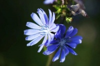 早读：一个人不开心的真正原因，只有这三个！