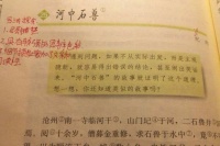 掉进河里的石兽会跑到上游？你又被假课文骗了