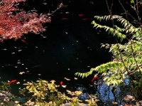 人这一生，总会遇到各种困境，只有面对它、接受它、改变它，才能从中有所收获