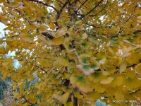 爱自己，是你能做到的最好的事