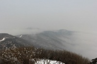 雪骨冰姿飘逸影，雾雪冰霜千古天