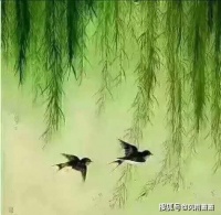 花开引路好还乡