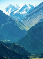 沽来奶酒同谁醉，煹火鸣琴月似弦