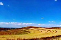 学会一个人走，不管有没有人陪！