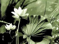 当代剪纸将成收藏家最看好的艺术收藏品