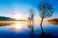 命运不会厚待谁，悲喜也不会单为你准备