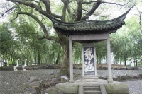 让圈子的故事诠释生活的本真