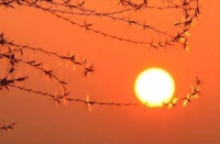 人这一辈子，想开了，福气就来了