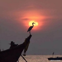 铆紧双手，还海天一片晴柔