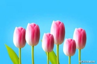 一个人“想你至极”的模样